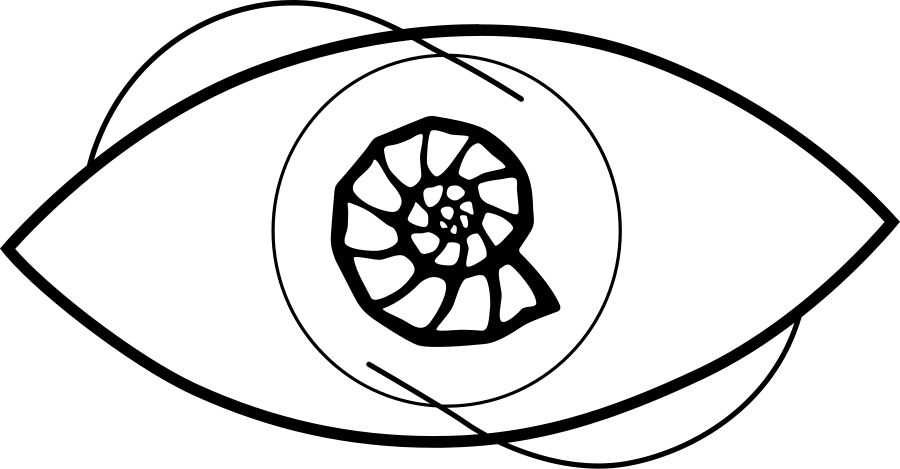 Logo Augenärzte PartGmbB in Eichstätt (AugenAllianz-Zentren Bayern Mitte)