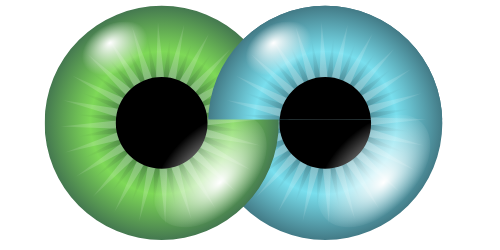 Logo Augenspezialisten-MVZ GbR