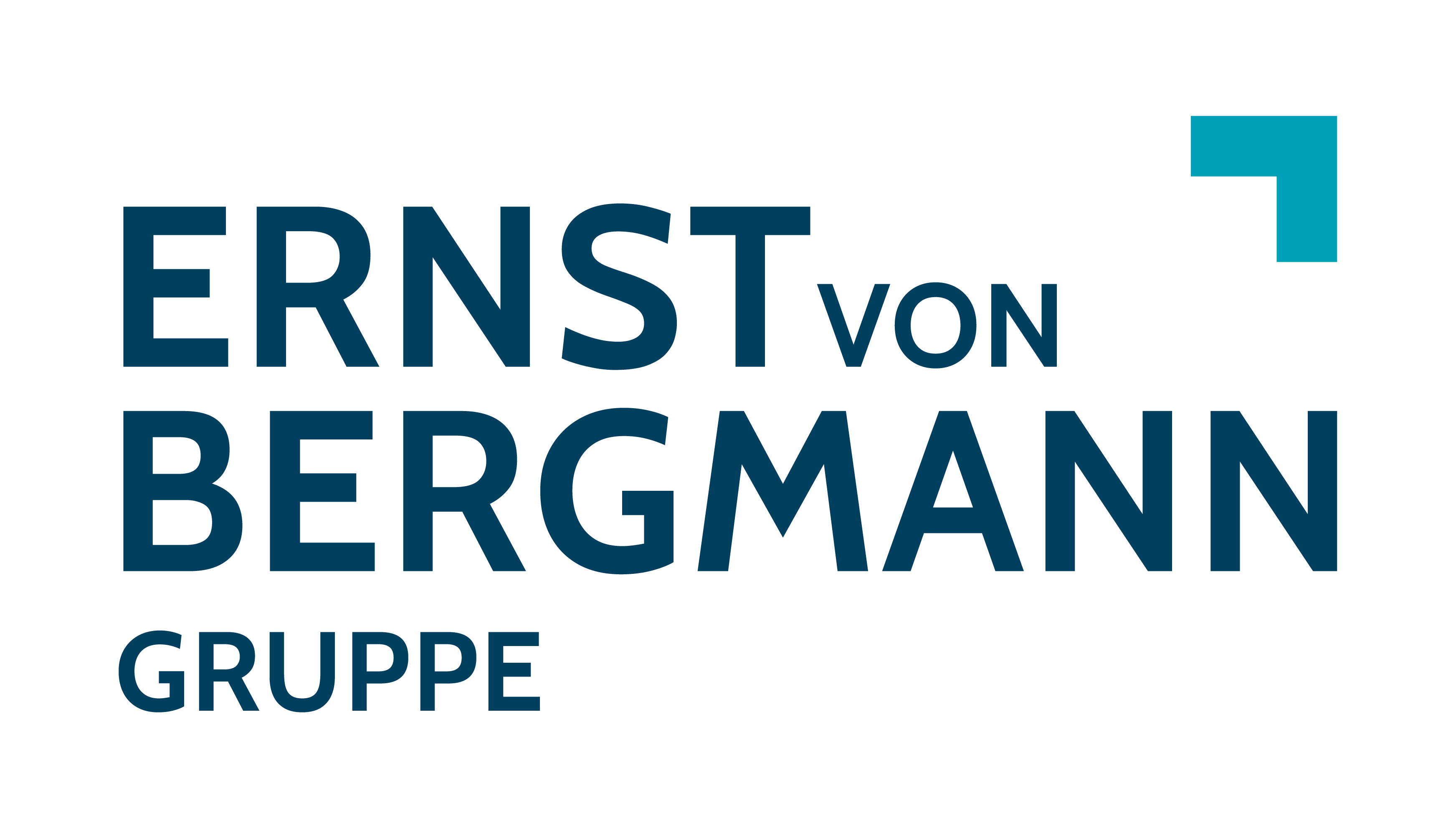 Logo Klinik Ernst von Bergmann Bad Belzig gGmbH